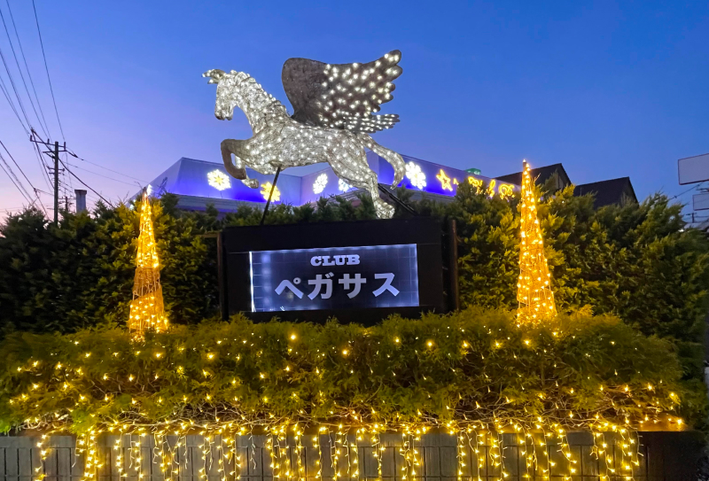 Club Pegasus Photo